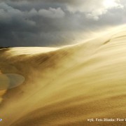 Wydmy ruchome - Łeba